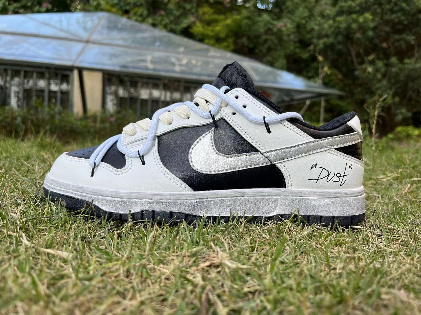 Nike Dunk Low - Dust - L’icône sneakers