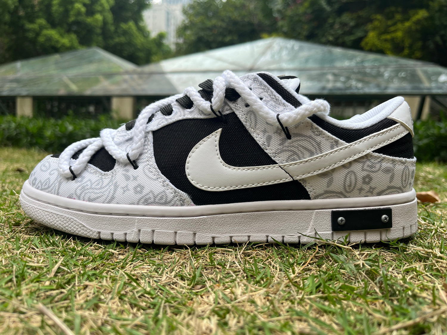 Nike Dunk Low - L’icône sneakers