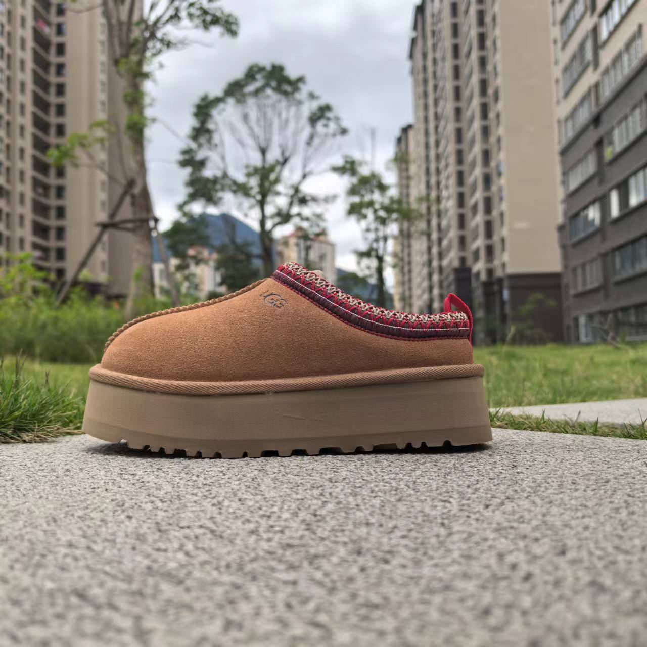 Mules UGG Tazz – Confort, Style et Chaleur Inégalés